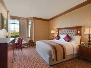 Why People Choose Luxury Hotels and VIP Hotels for Trips